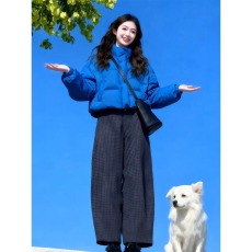 批发2025秋冬季新款<b class='q'>女</b>士蓝色加厚立领羽绒棉服外套超好看时尚短款棉衣