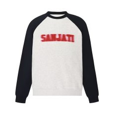 批发纯色流行时尚<b class='q'>卫衣</b>文艺潮流圆领新款宽松型简约绒衫套头长袖<b class='q'>女</b>街头