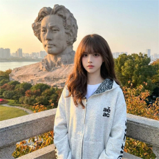 批发美式梵文刺绣豹纹内里连帽卫衣外套男女宽松百搭<b class='q'>情侣装</b>外套开衫潮